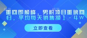 重回即颠峰，男粉项目重磅回归，平均每天销售额1-4W|淘骐网赚资源库