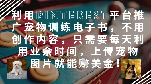 利用Pinterest平台推广宠物训练电子书，不用创作内容，只需要每天利用业余时间，上传宠物图片就能挣美金!|淘骐网赚资源库