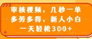 视频审核员，几秒一单，不限时间，不限地点，多做多得，新人小白一天轻松几张+【揭秘】|淘骐网赚资源库