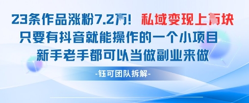 抖音私域项目23条作品涨粉7.2W，私域变现1W|淘骐网赚资源库