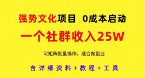强势文化项目，一个社群收入25个W，0成本启动，可矩阵批量操作，原创详细实操教程|淘骐网赚资源库