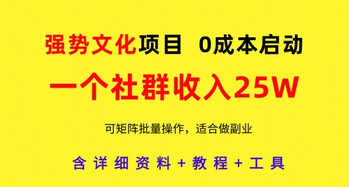 强势文化项目,一个社群收入25个W,0成本启动,可矩阵批量操作,原创详细实操教程|淘骐网赚资源库