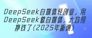 DeepSeek自媒体轻创业，用DeepSeek做自媒体，太容易挣钱了(2025年新课)|淘骐网赚资源库