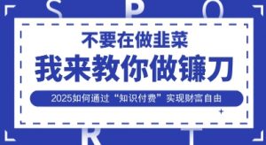 韭菜生涯终结者,我来教你做镰刀,2025如何通过“知识付费”实现财F自由【揭秘】|淘骐网赚资源库