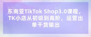 东南亚TikTok Shop3.0课程,TK小店从初级到高阶,运营出单干货输出|淘骐网赚资源库
