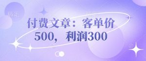 付费文章:客单价500,利润300|淘骐网赚资源库