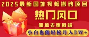 2025最新视频搬砖项目，热门风口，简单去重剪辑，小白也能轻松月入过W|淘骐网赚资源库