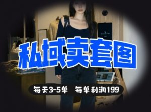 私域卖套图每天3-5单，每单利润99|淘骐网赚资源库