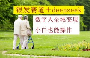 银发赛道+deepseek数字人全域变现,小白也能操作|淘骐网赚资源库