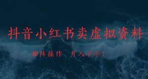 抖音小红书卖虚拟资料,市场需求一直存在,矩阵操作,月入1w+|淘骐网赚资源库