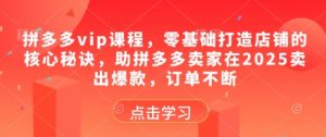 拼多多vip课程,零基础打造店铺的核心秘诀,助拼多多卖家在2025卖出爆款,订单不断|淘骐网赚资源库