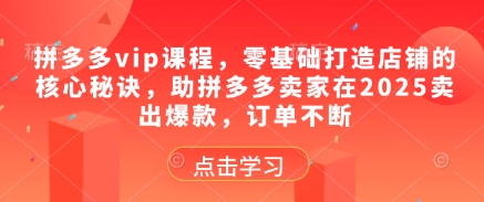 拼多多vip课程,零基础打造店铺的核心秘诀,助拼多多卖家在2025卖出爆款,订单不断|淘骐网赚资源库