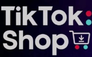 TikTokShop跨境电商0-1实战,手把手教你低成本启动海外市场(更新)|淘骐网赚资源库