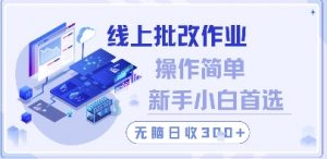 线上批改作业,操作简单新手小白首选,无脑日收300+【揭秘】|淘骐网赚资源库