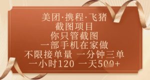 飞猪美团截图项目,你只管截图,一部手机在家做,正规平台无套路,一天5张+【揭秘】|淘骐网赚资源库