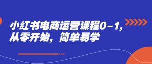 小红书电商运营课程0-1,从零开始,简单易学|淘骐网赚资源库