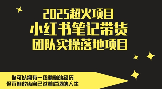 2025超火项目,副业最佳选择,小红书笔记带货团队实操落地项目,,轻松日入5张|淘骐网赚资源库