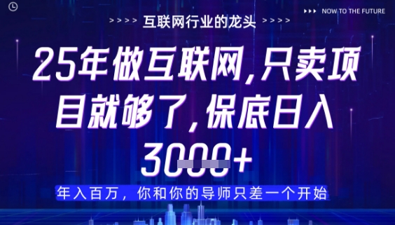 什么!25年你还在找项目做?风口早就变了,卖项目才是稳挣不赔【揭秘】|淘骐网赚资源库