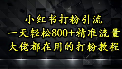 小红书打粉引流,一天轻松500+精准流量,大佬都在用的打粉教程|淘骐网赚资源库