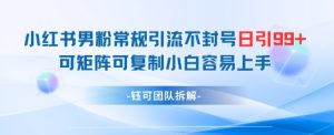 小红书男粉常规引流不封号日引99+变现简单 可矩阵可复制小白容易上手|淘骐网赚资源库