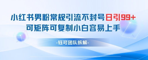 小红书男粉常规引流不封号日引99+变现简单 可矩阵可复制小白容易上手|淘骐网赚资源库