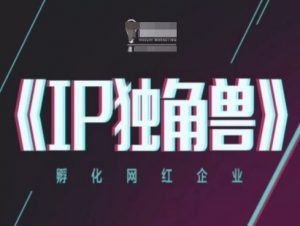 IP独角兽，孵化网红企业，ip教程|淘骐网赚资源库