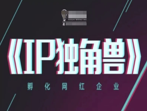IP独角兽，孵化网红企业，ip教程|淘骐网赚资源库