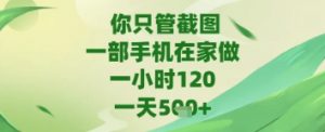 你只管截图，一部手机在家做，苹果安卓都可以，一天5张+【揭秘】|淘骐网赚资源库