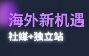 2025出海新机遇(社媒+独立站)，海外新机遇，实现独立站的高效运营与出海|淘骐网赚资源库