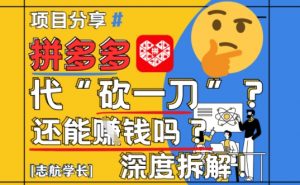 【2025最新】拼多多代坎助力项目深度拆解：还能挣钱吗?全流程玩法|淘骐网赚资源库