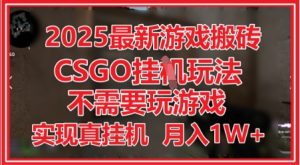 2025最新游戏搬砖,CSGO挂G,不需要玩游戏,实现真挂G,月入1W+【揭秘】|淘骐网赚资源库