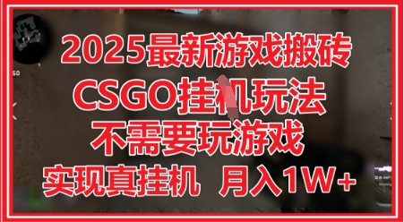2025最新游戏搬砖,CSGO挂G,不需要玩游戏,实现真挂G,月入1W+【揭秘】|淘骐网赚资源库