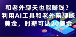 和老外聊天也能挣钱?利用AI工具和老外陪聊挣美金,时薪可达20刀|淘骐网赚资源库