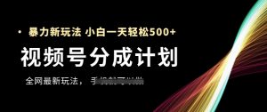 视频号分成计划,全网最暴力玩法,新手一天也能轻松5张+|淘骐网赚资源库