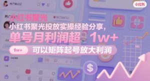 小红书聚光投放实操经验分享，单号月利润超1w+，可以矩阵起号放大利润|淘骐网赚资源库