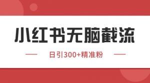 小红书只要你有同行就能获客，独家野路子获客玩法，暴力截流【揭秘】|淘骐网赚资源库