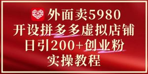 外面卖5980开设拼多多虚拟店铺:单日引流200+创业付费粉实战教程|淘骐网赚资源库