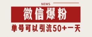 微信爆粉，私域暴力引流打法日引千粉 单号日进50+【揭秘】|淘骐网赚资源库