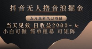 抖音无人撸音浪掘金,五月最新风口项目,当天见效,日收益多张,小白可做简单粗暴可矩阵【揭秘】|淘骐网赚资源库