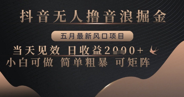 抖音无人撸音浪掘金,五月最新风口项目,当天见效,日收益多张,小白可做简单粗暴可矩阵【揭秘】|淘骐网赚资源库