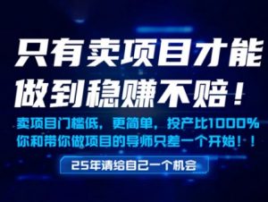 只有卖项目才能做到稳挣不赔，门槛低，更简单，你也可以年入百个W【揭秘】|淘骐网赚资源库