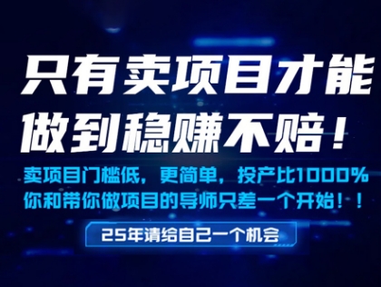 只有卖项目才能做到稳挣不赔，门槛低，更简单，你也可以年入百个W【揭秘】|淘骐网赚资源库