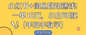 小红书+闲鱼联动挣钱，一单10元，小白可做|淘骐网赚资源库