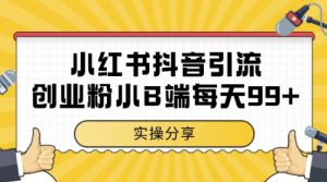 小红书抖音创业粉，小B端粉自热，日引99+的一个玩法【揭秘】|淘骐网赚资源库