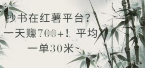 抄书在小红薯平台？平均一单30米，一天收益几张！|淘骐网赚资源库
