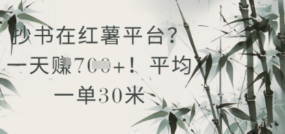 抄书在小红薯平台?平均一单30米,一天收益几张!|淘骐网赚资源库