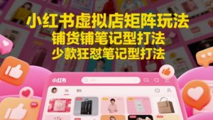 小红书虚拟店矩阵玩法,铺货铺笔记型打法,少款狂怼笔记型打法|淘骐网赚资源库