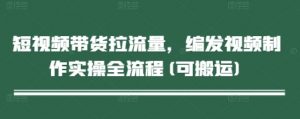 短视频带货拉流量，编发视频制作实操全流程(可搬运)|淘骐网赚资源库