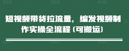 短视频带货拉流量,编发视频制作实操全流程(可搬运)|淘骐网赚资源库