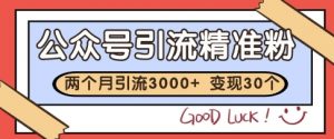 公众号精准粉引流玩法，2个月3000+精准粉，变现30个W【揭秘】|淘骐网赚资源库